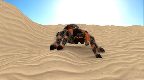 Bird eater spider/tarantula with rig preview image